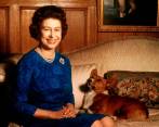 La reina Isabel II de Gran Bretaña sonríe radiantemente durante una sesión de fotos en el salón de Sandringham House en Norfolk. Uno de sus corgis la mira. FOTO: GETTY