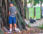 Las ceibas bongas del Parque Bolívar son utilizadas como orinales. Allí hay dos baños portátiles mal aseados. FOTO esneyder gutiérrez