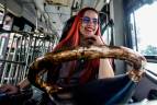 Para muchas personas subirse al autobús y ver que quien conduce es una jovencita es toda una novedad, otros no muestran sorpresa. Todos disfrutan el viaje con Daniela. FOTO JULIO CÉSAR HERRERA