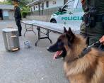 Thor junto al cargamento que encontró. Foto: Cortesía Policía Metropolitana. 