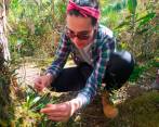 Yesenia Madrigal recolectando plantas para sus investigaciones. Foto: Cortesía 
