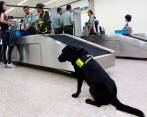 Durante un año, un patrullero con funciones de guía canino, alteró el entrenamiento del perro para que no identificara coca oculta en contenedores. fOTO REFERENCIA, mANUEL sALDARRIAGA