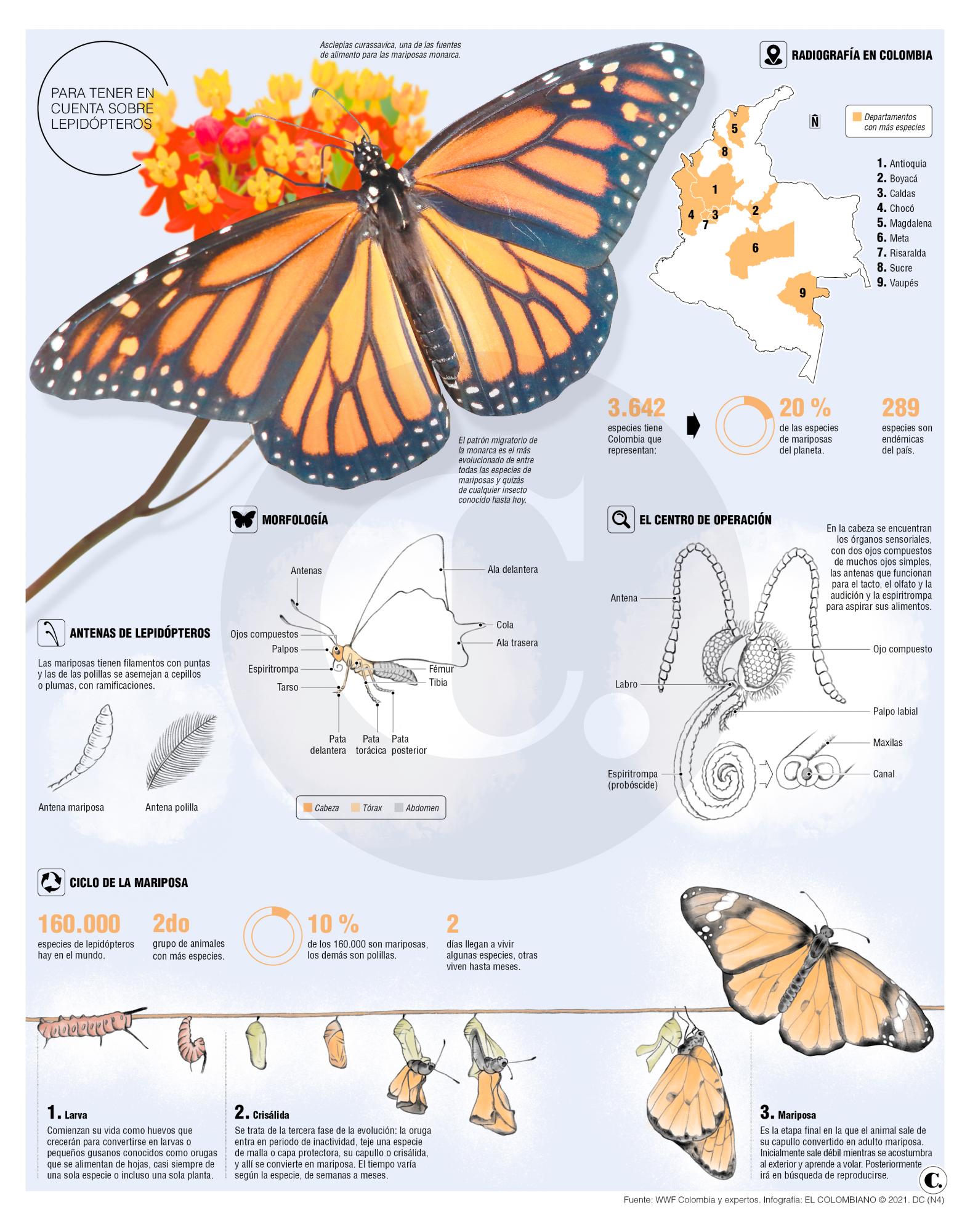 La vida en la Tierra depende de este animal
