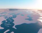 Para realizar el trabajo, el equipo investigador analizó muestras de agua de mar recogidas durante la expedición Tara Oceans Polar Circle. Foto: Cortesía Sinc