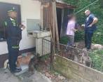 La mayoría de animales rescatados presenta cuadros de enfermedad. FOTO: Cortesía 