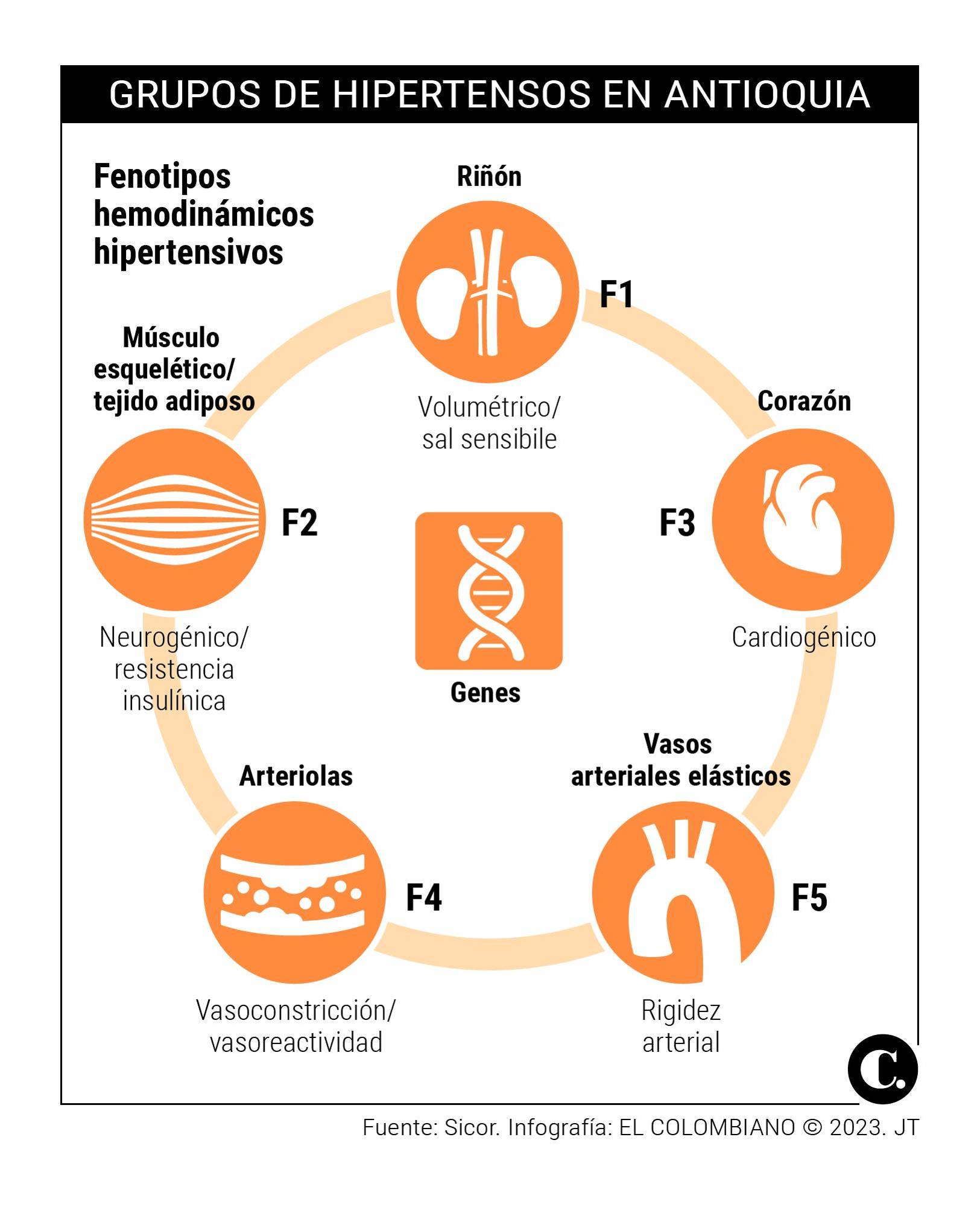 InfogrÃ¡fico