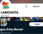 Artistas como Karol G o deportistas como Egan Bernal que tenían sus cuentas de Twitter verificadas, ahora no tienen chulo azul. FOTOS: TOMADAS DE TWITTER @karolg Y @Eganbernal