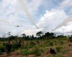 A principios de 2022, se cayó en la Corte Constitucional el Plan de Manejo Ambiental que preparó el entonces gobierno de Iván Duque para la erradicación de cultivos ilícitos mediante la aspersión aérea con glifosato. FOTO: COLPRENSA