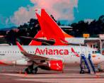 Avianca confirmó que no habrá cobros adicionales para las personas que viajen con sus animales, pero aseguró que deberán avisarle a la aerolínea que tendrán mascota de compañía 48 horas antes del vuelo. FOTO: JUAN ANTONIO SÁNCHEZ