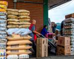 Las estimaciones más bajas sobre inflación son las de Axa Colpatria (12,73%), Citi (12,79%), JP Morgan (12,80%), Grupo Bolívar (12,84%), e Itaú (12,88%). FOTO JUAN ANTONIO SÁNCHEZ