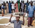 Cada cuatro segundos muere una persona por falta de alimentos en el mundo