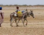 La Guajira es uno de los departamentos en donde más se registran casos de desnutrición infantil. FOTO ARCHIVO