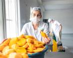 Para el año que viene el objetivo de Pulpas AMY es instalar una serie de equipos que le permita incrementar su capacidad de transformación de frutas e incluso producir jugos. FOTO Camilo Suárez