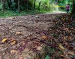 Días antes, otros dos hombres fueron asesinados en zona rural de Puerto Asís. Imagen de referencia. FOTO: JUAN ANTONIO SÁNCHEZ