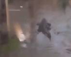 El huracán Ian generó una tormenta de categoría cuatro en Florida, Estados Unidos. FOTO: CAPTURA DE VIDEO
