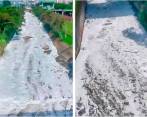 No hay control efectivo a empresas que tiñen de colores el río Medellín