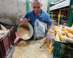 Con el paso del tiempo, el maíz fue perdiendo protagonismo como un cultivo que le dio identidad a muchas regiones del país, entre ellas Antioquia. FOTO Donaldo Zuluaga