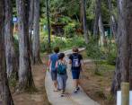 Las limpias con yagé u hongos suelen promocionarse con noches de campamento en zonas boscosas de corregimientos como Santa Elena. Autoridades buscan evitar que la práctica sea riesgosa. FOTO juan antonio sánchez