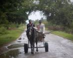 En la imagen dos personas transitan por una carreta para salir, en Coloma, poblado de la provincia Pinar del Río por la que está previsto entrará el huracán Ian, hoy en Pinar del Río (Cuba). Foto: EFE. 