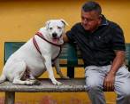 En 2021, don Jaime viajó de Santa Bárbara a Buga para encontrar a Beethoven, considerado la mascota del municipio antioqueño. FOTO: MANUEL SALDARRIAGA