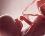 Jesús es el nombre del primer bebé nacido de un útero trasplantado en España. Como él hay un centenar de bebés en el mundo, nacidos de un útero ajeno al de su madre. Estos casos exitosos dan luces para la aprobación mundial de este procedimiento médico que podría beneficiar a muchas mujeres. FOTO: GETTY