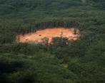 Según datos entregados por el Ideam, entre enero de 2015 y junio de 2020 se deforestaron 552.000 hectáreas de bosque primario en la Amazonía colombiana, lo que equivale a desertificar a los departamentos de Risaralda y Quindío. FOTO Esteban Vanegas.