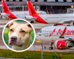 El incidente afectó el sistema de calefacción de una de las bodegas. La aerolínea reportó que “el vuelo aterrizó sin novedades”. FOTO: JUAN ANTONIO SÁNCHEZ/SHUTTERSCTOK