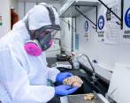 El Grupo de Neurociencias de Antioquia adelanta estudios científicos sobre la “mutación paisa” de alzhéimer. Hay hallazgos importantes publicados en una revista internacional. FOTO: Cortesía