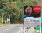 Los pasos fueron construidos en los municipios de San Jerónimo, Sopetrán, Santa Fe de Antioquia, y Anzá. FOTO: Cortesía.