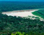 Los niños completan 18 días desaparecidos en medio de la selva. FOTO: Jaime Pérez