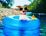 Cuando vaya a cambiar a su mascota de su clima habitual, primero prepárela. FOTO sstock