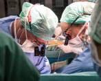 Profesor Pierre-Alain Clavien y Profesor Philipp Dutkowski durante el trasplante de hígado tratado en la máquina. Foto: Hospital Universitario de Zúrich