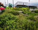 Un grupo de jardineros trabaja en labores de rocería en los jardines y espacios verdes del escenario. FOTO Julio césar herrera