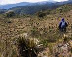 Un grupo de sesenta personas fue atracada cuando visitaba el Páramo de Belmira el pasado fin de semana. FOTO ARCHIVO ESTEBAN VANEGAS 