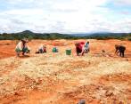 Usaid recuperó cerca de 2.000 hectáreas de suelos en el Bajo Cauca