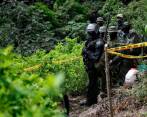 204.000 hectáreas de cultivos de hoja de coca hay sembrados en el país. FOTO COLPRENSA 