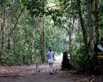 El Parque Nacional Natural Utría está ubicado en el Chocó y hace parte de las 64 áreas protegidas para la conservación de la biodiversidad. Protagonistas de la toma esperan acciones de la Ungrd. FOTO El Colombiano