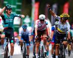Vlasov (izquierda) e Higuita, dos figuras del ciclismo actual al servicio del Bora. FOTO getty