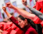 La senadora animalista Andrea Padilla recogerá firmas para un referendo que prohíba las corridas de toros. El Congreso actual ha hundido en dos ocasiones el proyecto de ley que tenía ese fin. FOTO: Colprensa