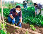 El sector agrícola diseñó la campaña #EchemosPalante para promover el empleo en estas actividades productivas. FOTO SSTOCK