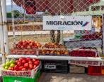 Expertos advierten que el número de personas que a diario cruzan por la frontera podría duplicarse. FOTO Camilo Suárez 