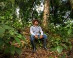Oriente antioqueño “cuenta” el carbono de sus bosques