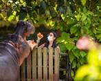 Nacida en Medellín, Elisa Madrigal Rodríguez ha dedicado su vida profesional al cuidado de los animales. FOTO carlos velasquez 