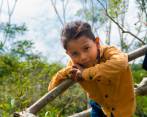 Masbosques y Bancolombia trabajan juntos por la conservación