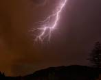La tormenta también provocó la caída de árboles y postes de energía. Foto: Freepick