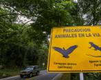 En La Estrella, cerca al aula ambiental, fue construido un puente elevado para el paso de fauna silvestre como zarigüeyas, ardillas e iguanas, entre otras. También ubicaron señales como estas en la vía. FOTO manuel saldarriaga
