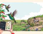 Ilustración de “Biblioperrito lee guías de aves” , un libro de Andrés Barragán, Sergio Chaparro y Sebastián Calderón. Imagen: Cortesía
