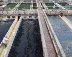 La planta de tratamiento de Ayurá abastece de agua al 50% del Valle de Aburrá, principalmente del sur, y su agua proviene, en su mayoría, de la represa La Fe, donde se harán los trabajos. FOTO: Manuel Saldarriaga