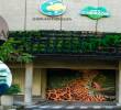 Corantioquia hace presencia, como autoridad ambiental, en 80 municipios de Antioquia. Foto: Cortesía