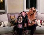 Lady Gaga ofreció una recompensa de 500.000 dólares por el rescate de dos de sus tres perros. La mujer que entregó a los animales fue acusada de complicidad con los raptores. FOTO: TOMADA DE INSTAGRAM @ladygaga